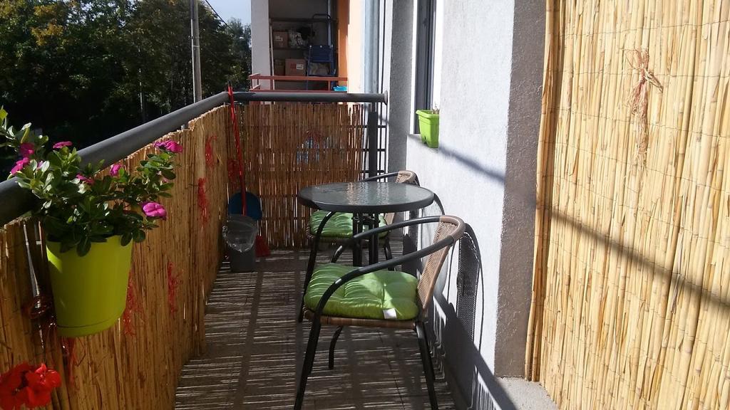 Apartman Tatjana Novi Sad Exterior foto