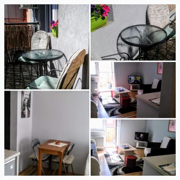 Apartman Tatjana Novi Sad Exterior foto
